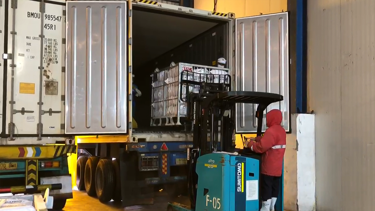 Packaging and Export Operations