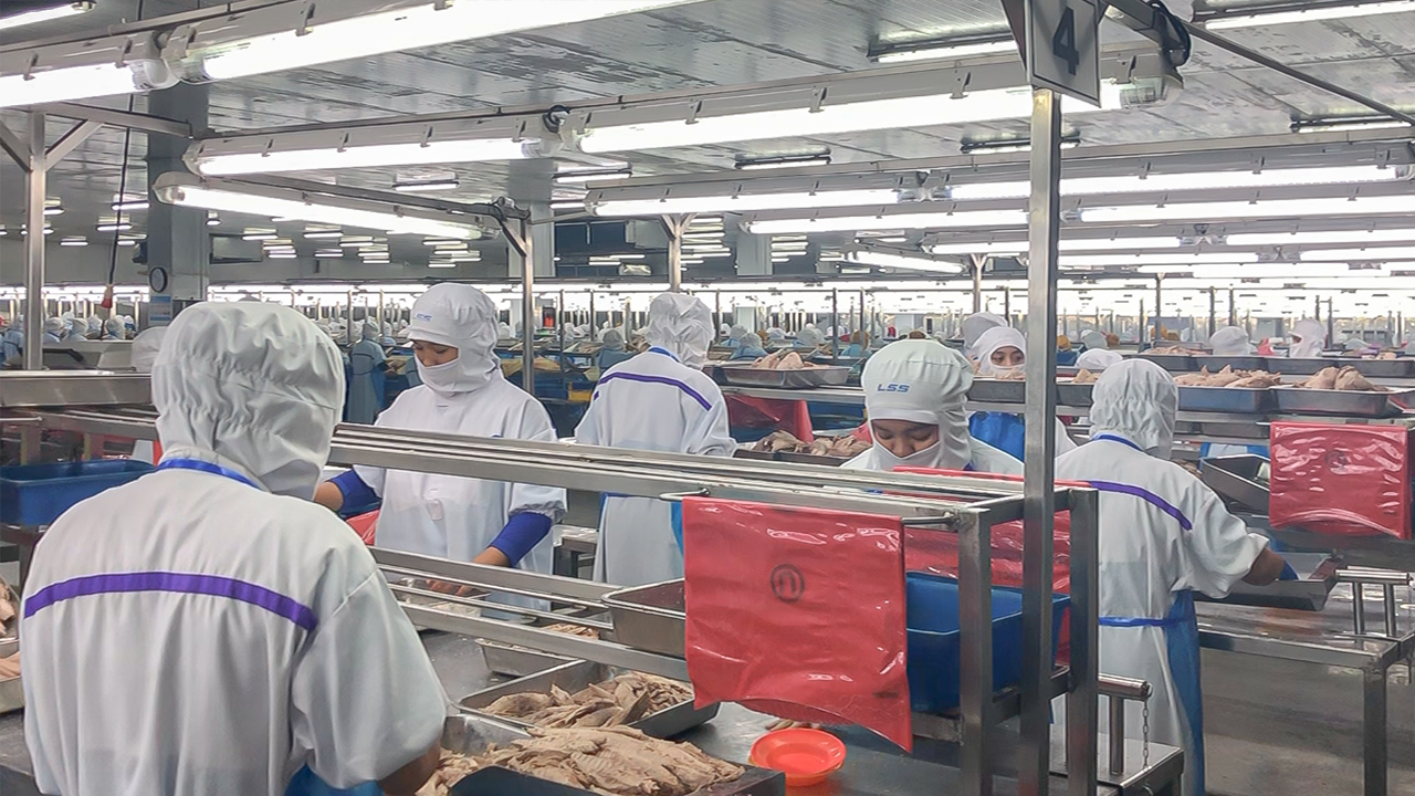 Modern Production Facility