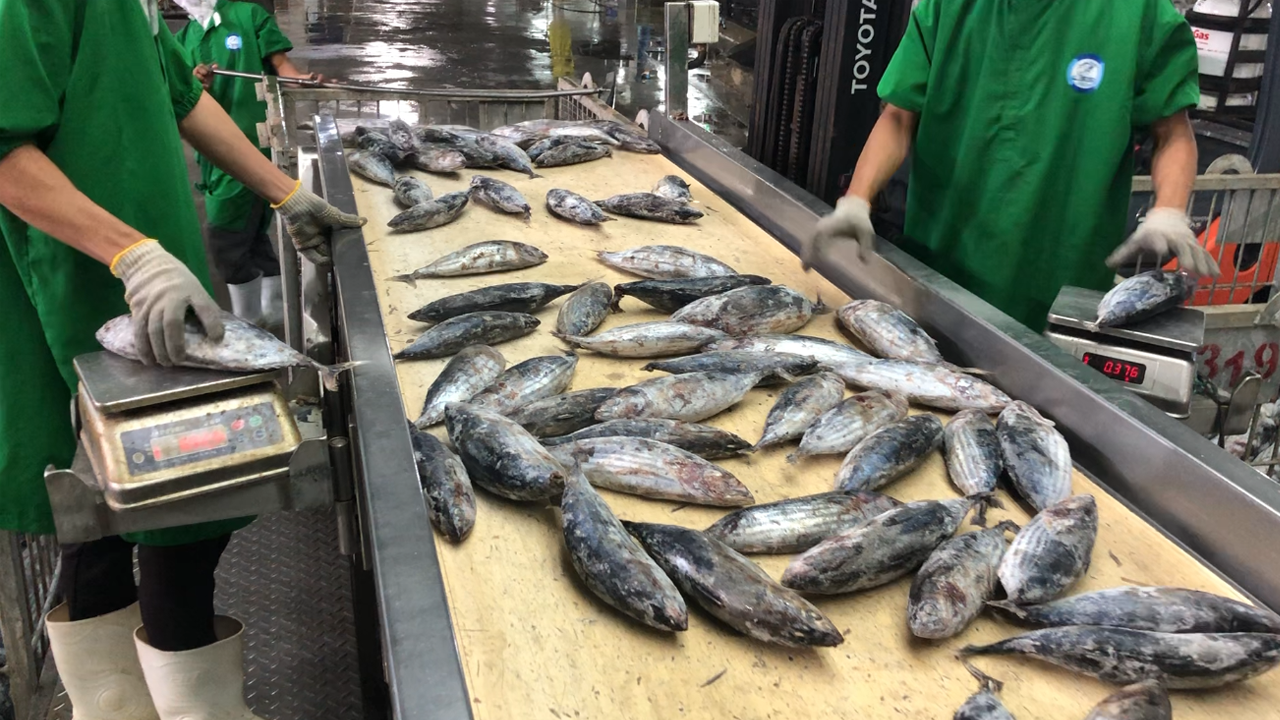 Raw Material Processing