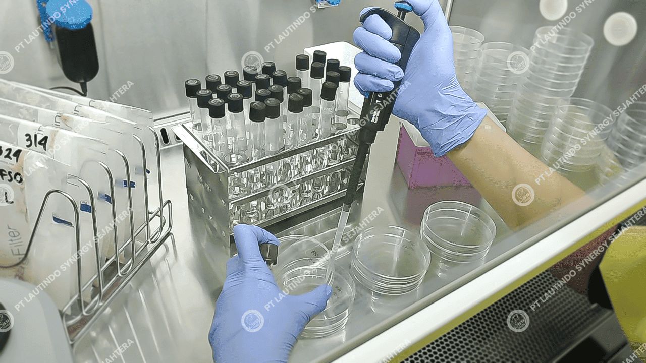 Quality Assurance